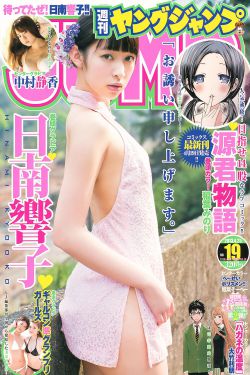 金银瓶1-5手机板