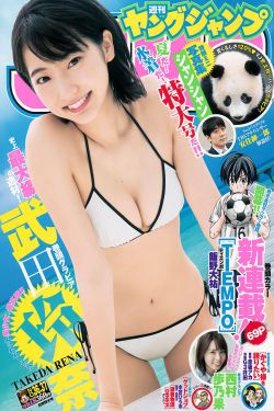 重生八零锦绣军婚