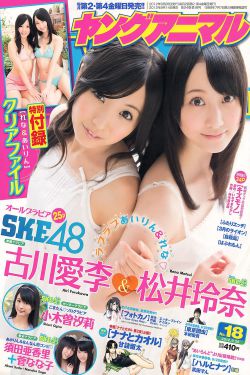 风声小说